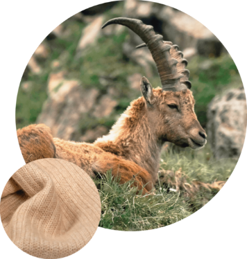 Where Does Yangir Yarn Come From?
