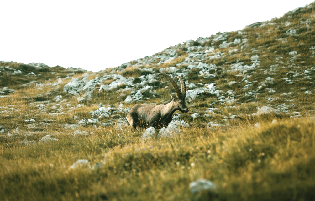 What Makes Yangir Yarn a Superior Natural Fiber?