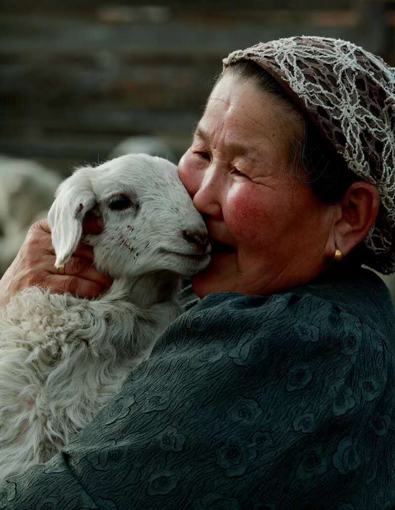 Social Responsibility