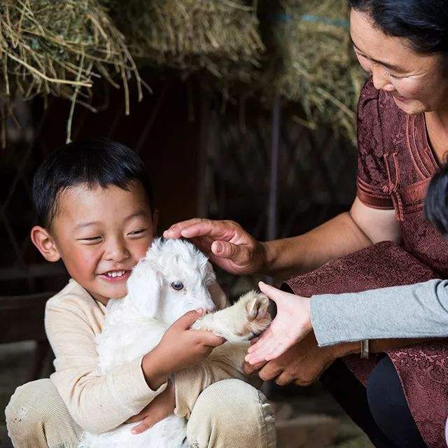 Animal Welfare