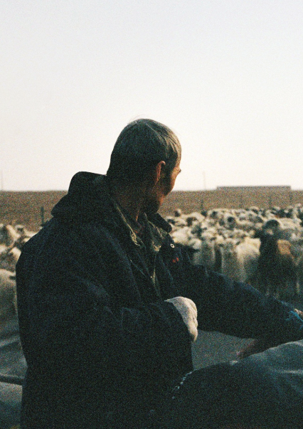 Animal Welfare
